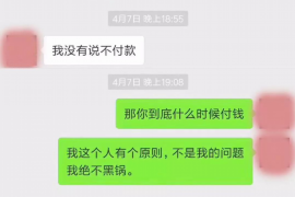 新野为什么选择专业追讨公司来处理您的债务纠纷？